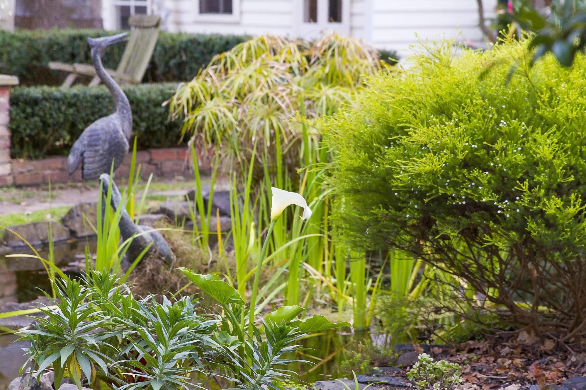 Glen Isla House Bed & Breakfast Phillip Island Cowes Extérieur photo